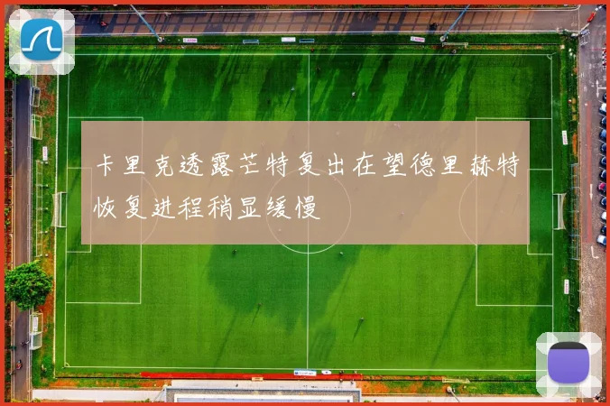 卡里克透露芒特复出在望德里赫特恢复进程稍显缓慢