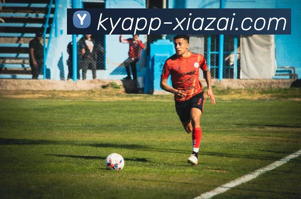 App Interface Preview