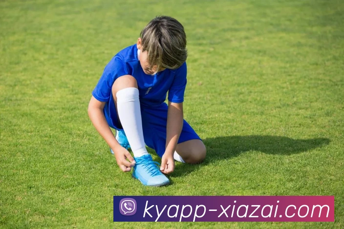 开云体育APP 封面图