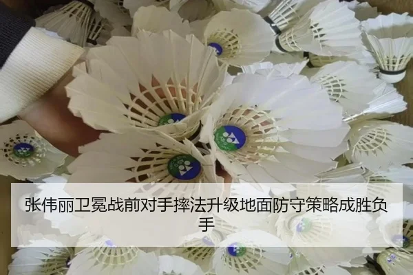 张伟丽卫冕战前对手摔法升级地面防守策略成胜负手（kaiyun）